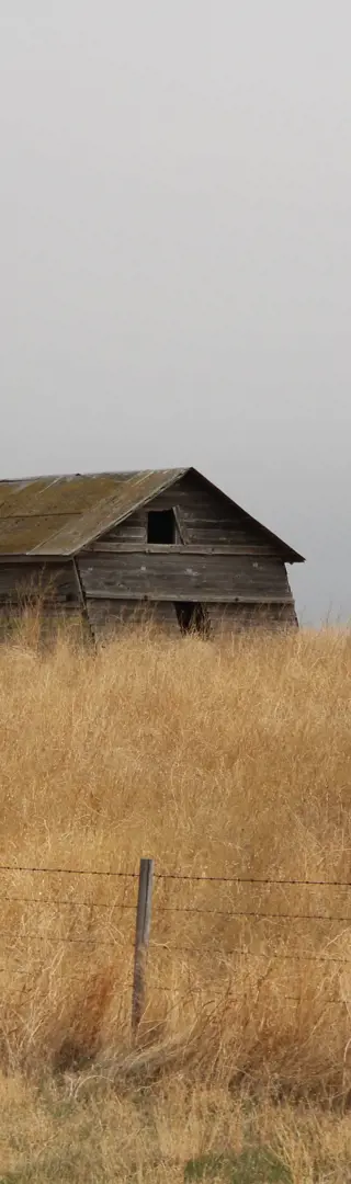 So weit das Auge reicht